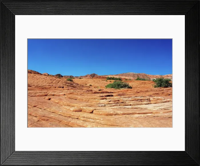 Framed Print : Petrified sand dunes, White Canyon State Park, Red Cliffs Desert Reserve near St. George, Utah, United States of America