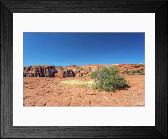 Framed Print : Petrified sand dunes, White Canyon State Park, Red Cliffs Desert Reserve near St. George, Utah, United States of America