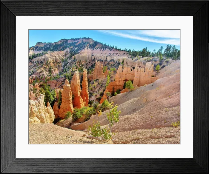 Framed Print : Hoodoos at Bryce Point, Bryce Canyon National Park, Utah, United States of America Framed Print : Hoodoos at Bryce Point, Bryce Canyon National Park, Utah, United States of America