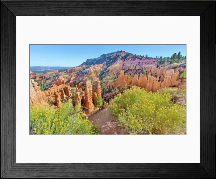 Framed Print : Fairyland Point and hoodoos, Bryce Canyon National Park, Utah, United States of America Framed Print : Fairyland Point and hoodoos, Bryce Canyon National Park, Utah, United States of America