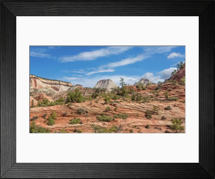 Framed Print : Checkerboard Mesa, a sandstone peak standing 900 feet high, Kane County, Zion National Park, Utah, United States of America Framed Print : Checkerboard Mesa, a sandstone peak standing 900 feet high, Kane County, Zion National Park, Utah, United States of America