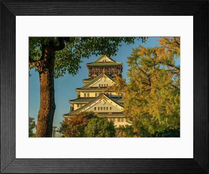 Framed Print : View of Osaka Castle (Osaka-jo) on a sunny day, Chuo Ward, Osaka, Honshu, Japan Framed Print : View of Osaka Castle (Osaka-jo) on a sunny day, Chuo Ward, Osaka, Honshu, Japan