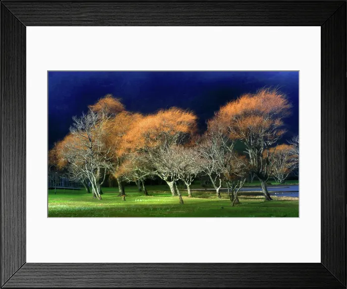 Framed Print : Trees and Lagoa Azul, Sete Cidades, Sao Miguel, Azores Islands, Atlantic, Portugal