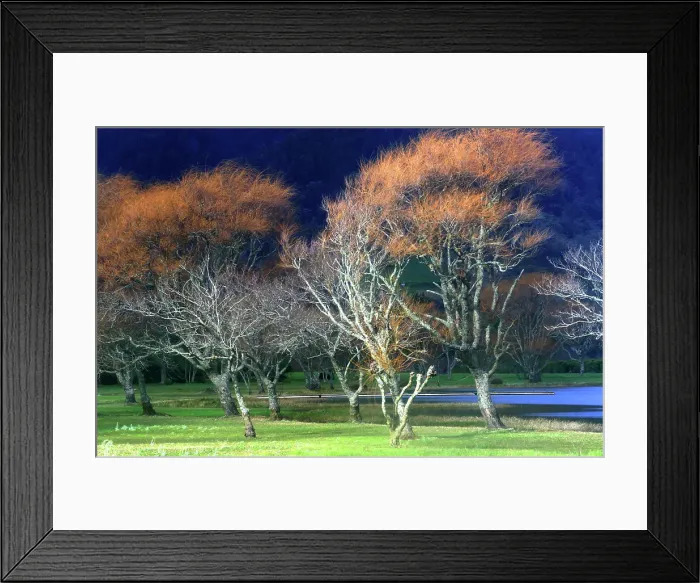 Framed Print : Trees and Lagoa Azul, Sete Cidades, Sao Miguel, Azores Islands, Atlantic, Portugal