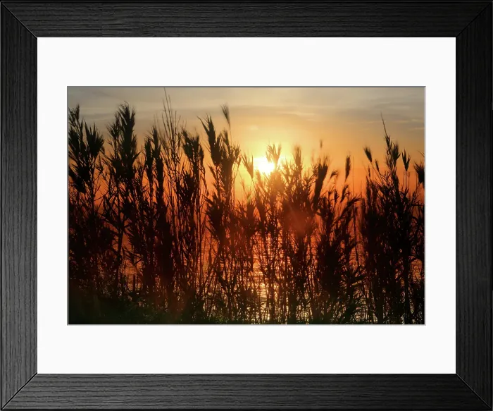 Framed Print : Sunset near Ponta Delgada, Sao Miguel, Azores Islands, Atlantic, Portugal