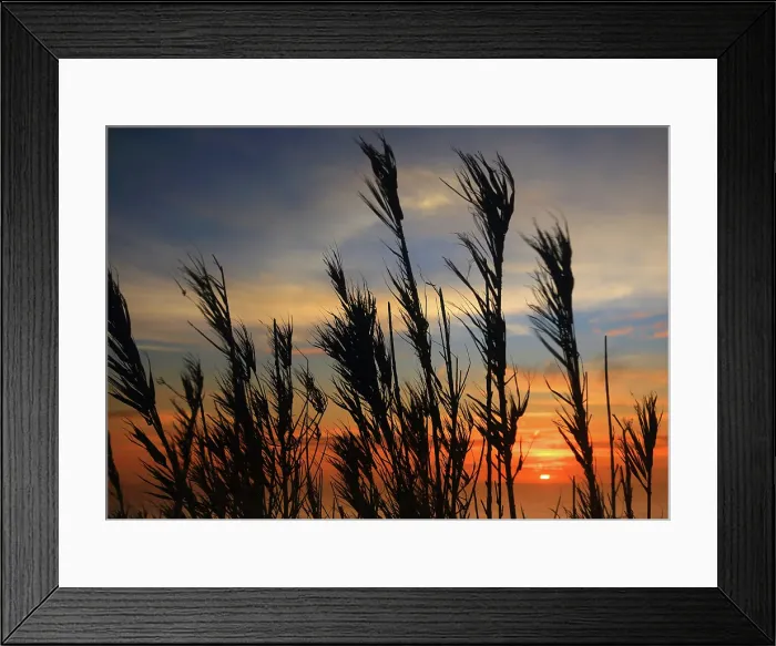 Framed Print : Sunset near Ponta Delgada, Sao Miguel, Azores Islands, Atlantic, Portugal Framed Print : Sunset near Ponta Delgada, Sao Miguel, Azores Islands, Atlantic, Portugal