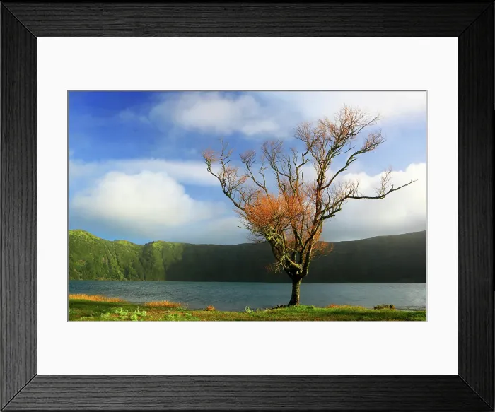 Framed Print : Trees and Lagoa Azul, Sete Cidades, Sao Miguel, Azores Islands, Atlantic, Portugal