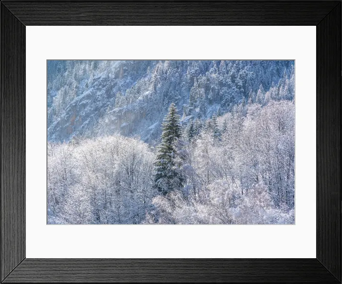 Framed Print : View of snow covered trees and mountain from Dolonne in winter, Courmayeur, Aosta Valley, Italian Alps, Italy Framed Print : View of snow covered trees and mountain from Dolonne in winter, Courmayeur, Aosta Valley, Italian Alps, Italy