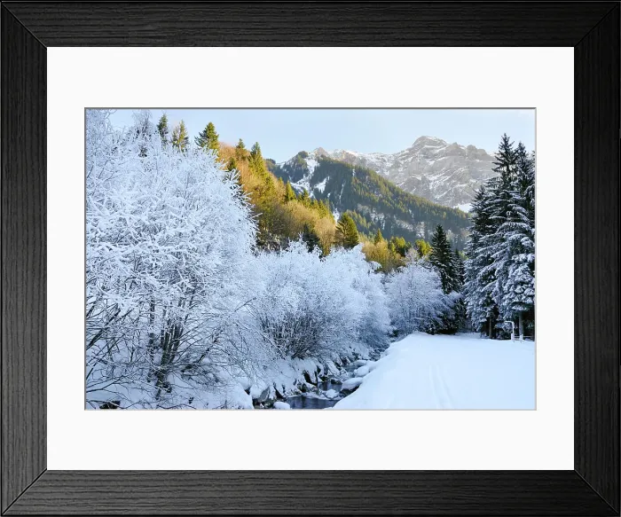 Framed Print : Frosted trees on a river bank, around Champery, Canton of Valais, Switzerland Framed Print : Frosted trees on a river bank, around Champery, Canton of Valais, Switzerland