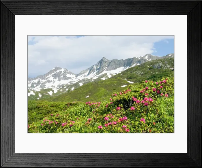 Framed Print : Around Cadagno lake, Val Piora, Canton Ticino, Switzerland Framed Print : Around Cadagno lake, Val Piora, Canton Ticino, Switzerland
