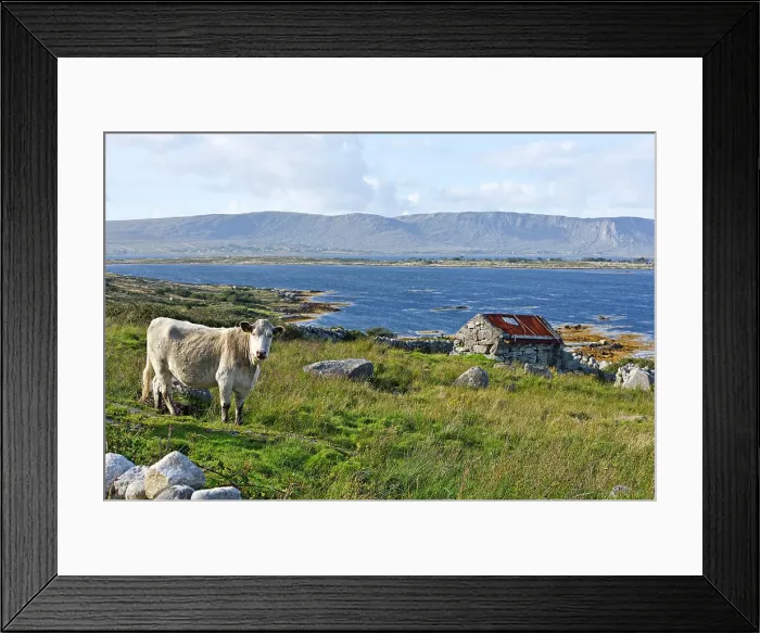 Framed Print : Landscape viewed from country road at the north of Lettermore island, west coast, Connemara, County Galway, Connacht, Republic of Ireland Framed Print : Landscape viewed from country road at the north of Lettermore island, west coast, Connemara, County Galway, Connacht, Republic of Ireland