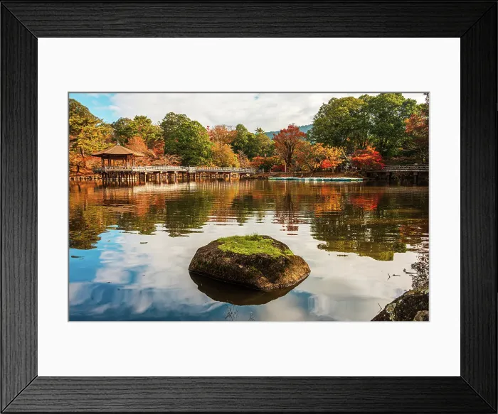 Framed Print : Green moss covered rock centered in a calm reflecting pond with autumnal surroundings, Nara, Honshu, Japan