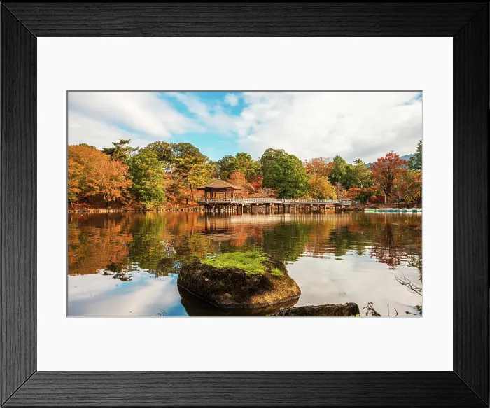 Framed Print : Green moss covered rock centered in a calm reflecting pond with autumnal surroundings, Nara, Honshu, Japan Framed Print : Green moss covered rock centered in a calm reflecting pond with autumnal surroundings, Nara, Honshu, Japan