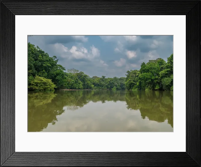 Framed Print : Sangha River in the Trinational Lobeke National Park, Republic of Congo Framed Print : Sangha River in the Trinational Lobeke National Park, Republic of Congo