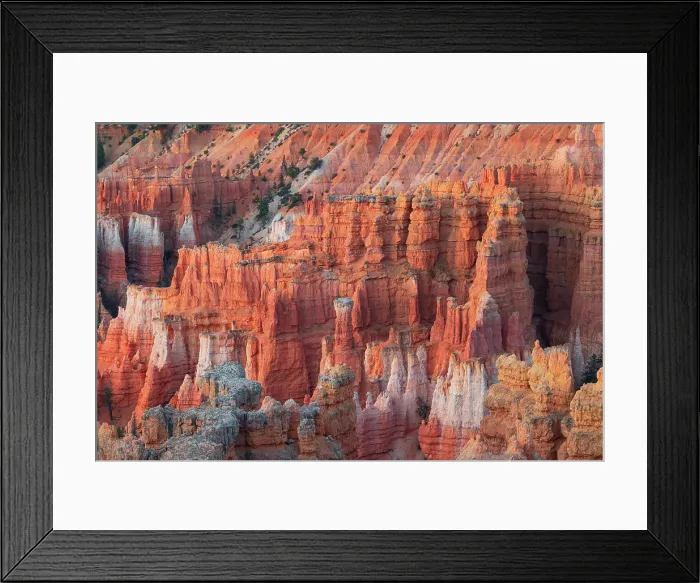 Framed Print : Warm light envelops the majestic rock formation in Bryce Canyon National Park on a summer day, Utah, United States of America