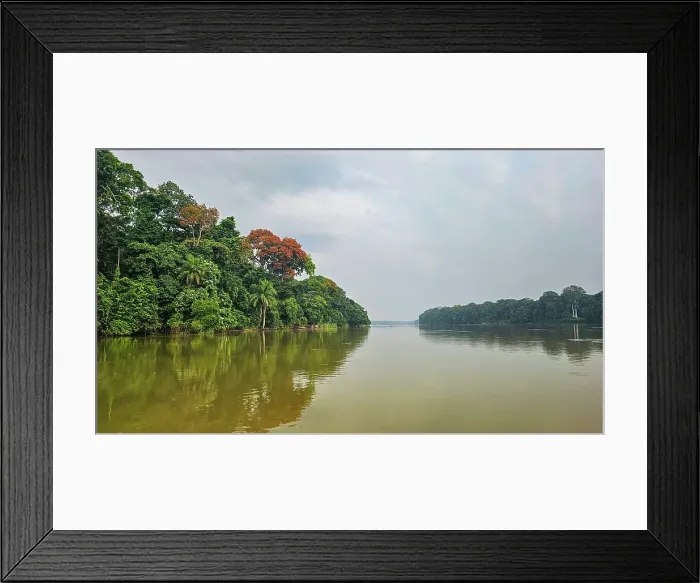 Framed Print : Sangha River in the Trinational Lobeke National Park, Republic of Congo Framed Print : Sangha River in the Trinational Lobeke National Park, Republic of Congo
