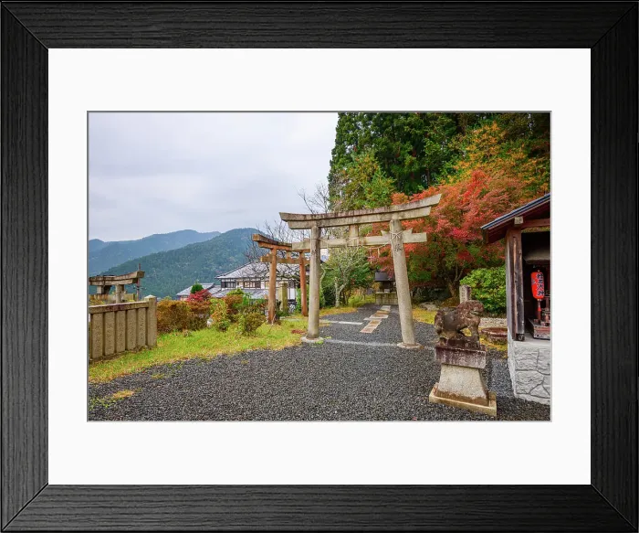 Framed Print : Traditional torii gates surrounded by vivid autumn foliage on Mount Hiei, a serene gateway to sacred temples in Kyoto, Honshu, Japan Framed Print : Traditional torii gates surrounded by vivid autumn foliage on Mount Hiei, a serene gateway to sacred temples in Kyoto, Honshu, Japan