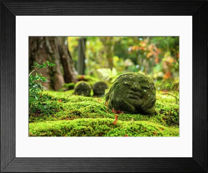 Framed Print : Stone statue in lush forest garden, surrounded by ferns and foliage near Sanzen-in Temple, Ohara, Kyoto, Honshu, Japan Framed Print : Stone statue in lush forest garden, surrounded by ferns and foliage near Sanzen-in Temple, Ohara, Kyoto, Honshu, Japan