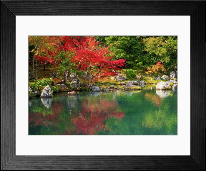Framed Print : Peaceful pond reflecting autumn leaves and rocks in the serene gardens of Tenryu-ji Temple, UNESCO, Kyoto, Honshu, Japan
