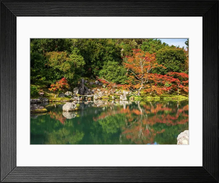 Framed Print : Autumn trees reflecting on a tranquil pond surrounded by rocks in the gardens of Tenryu-ji Temple, UNESCO, Kyoto, Honshu, Japan Framed Print : Autumn trees reflecting on a tranquil pond surrounded by rocks in the gardens of Tenryu-ji Temple, UNESCO, Kyoto, Honshu, Japan