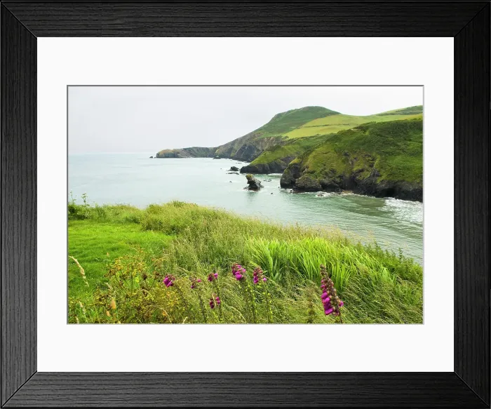 Framed Print : Coast around Llangrannog, Cardigan Bay, Ceredigion county, Wales, United Kingdom Framed Print : Coast around Llangrannog, Cardigan Bay, Ceredigion county, Wales, United Kingdom