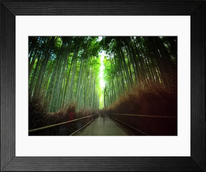 Framed Print : Visitors strolling along the iconic path of Arashiyama Bamboo Grove in Kyoto, Honshu, Japan Framed Print : Visitors strolling along the iconic path of Arashiyama Bamboo Grove in Kyoto, Honshu, Japan