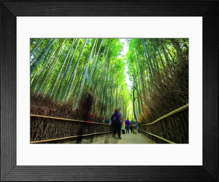 Framed Print : Visitors strolling along the iconic path of Arashiyama Bamboo Grove, Kyoto, Honshu, Japan Framed Print : Visitors strolling along the iconic path of Arashiyama Bamboo Grove, Kyoto, Honshu, Japan