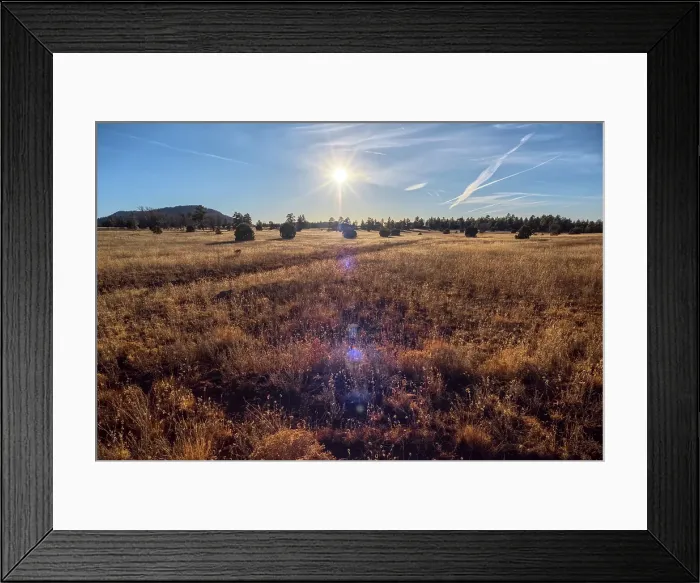 Framed Print : Golden grassland prairie near sundown, Coconino National Forest, Arizona, United States of America Framed Print : Golden grassland prairie near sundown, Coconino National Forest, Arizona, United States of America