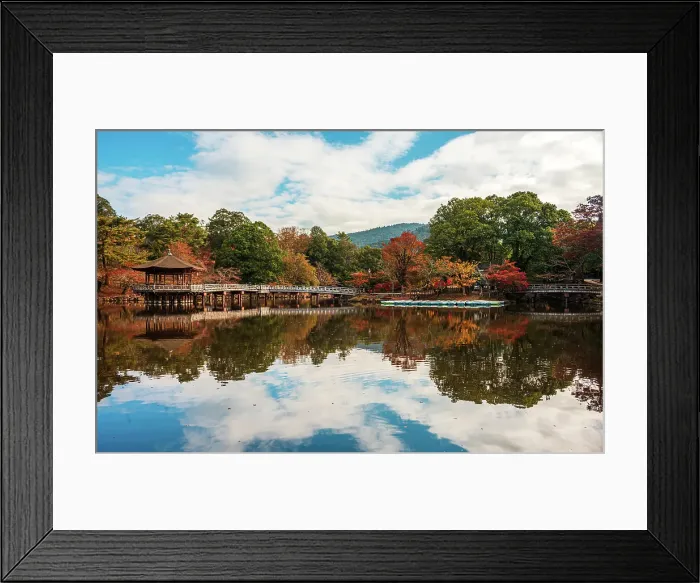 Framed Print : Blue rowing boats neatly docked in a clear reflecting pond, golden autumnal forest surroundings, Nara, Honshu, Japan Framed Print : Blue rowing boats neatly docked in a clear reflecting pond, golden autumnal forest surroundings, Nara, Honshu, Japan