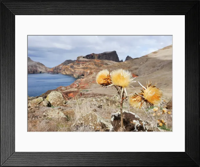 Framed Print : Abra Bay, Sao Lourenco peninsula, Madeira island, Atlantic Ocean, Portugal Framed Print : Abra Bay, Sao Lourenco peninsula, Madeira island, Atlantic Ocean, Portugal
