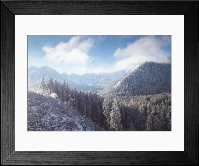 Framed Print : Aerial view of snow covered fir trees, Poland Framed Print : Aerial view of snow covered fir trees, Poland
