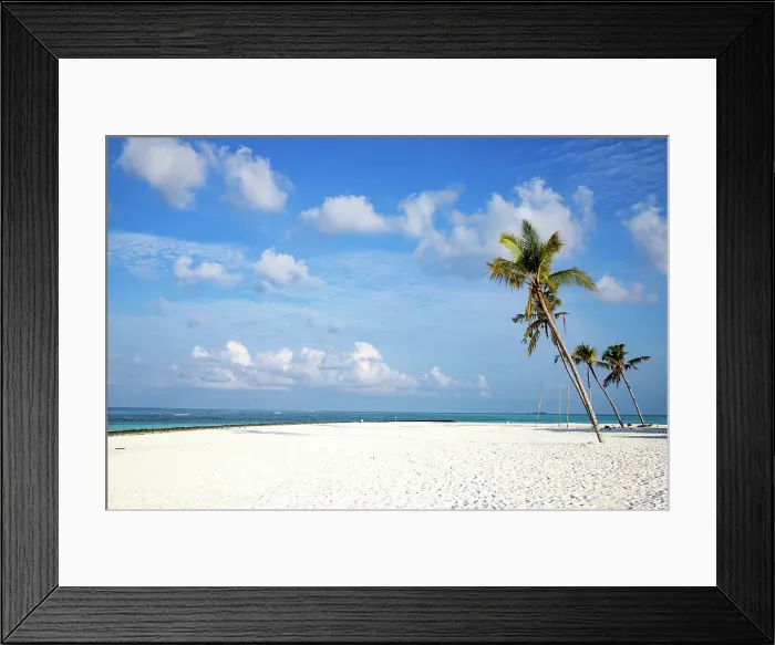 Framed Print : Amazing tropical island with palm trees, The Maldives, Indian Ocean