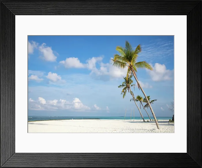 Framed Print : Amazing tropical island with palm trees, The Maldives, Indian Ocean