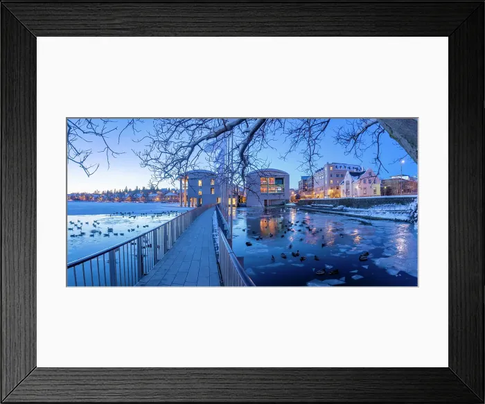 Framed Print : View of swans and ducks with City Hall in background in the city centre of Reykjavik at dusk in winter, Reykjavik, Iceland Framed Print : View of swans and ducks with City Hall in background in the city centre of Reykjavik at dusk in winter, Reykjavik, Iceland