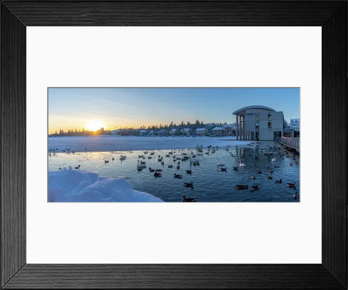 Framed Print : View of swans and ducks with Iceland model building in the city centre of Reykjavik in winter, Reykjavik, Iceland Framed Print : View of swans and ducks with Iceland model building in the city centre of Reykjavik in winter, Reykjavik, Iceland