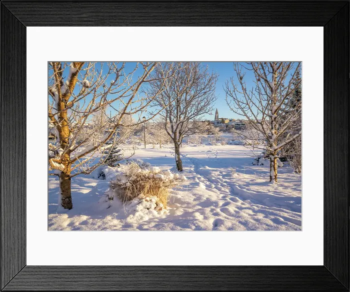 Framed Print : View of Tjornin park and Hallgrimskirkja on a sunny day in winter, Reykjavik, Iceland Framed Print : View of Tjornin park and Hallgrimskirkja on a sunny day in winter, Reykjavik, Iceland