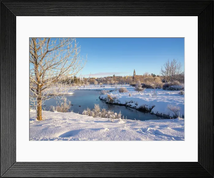 Framed Print : View of Tjornin park and Hallgrimskirkja on a sunny day in winter, Reykjavik, Iceland Framed Print : View of Tjornin park and Hallgrimskirkja on a sunny day in winter, Reykjavik, Iceland