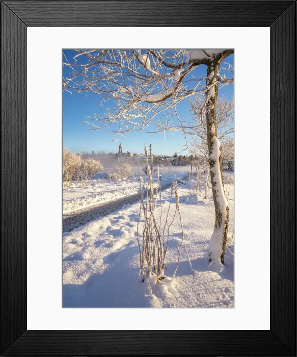 Framed Print : View of Tjornin park and Hallgrimskirkja on a sunny day in winter, Reykjavik, Iceland Framed Print : View of Tjornin park and Hallgrimskirkja on a sunny day in winter, Reykjavik, Iceland
