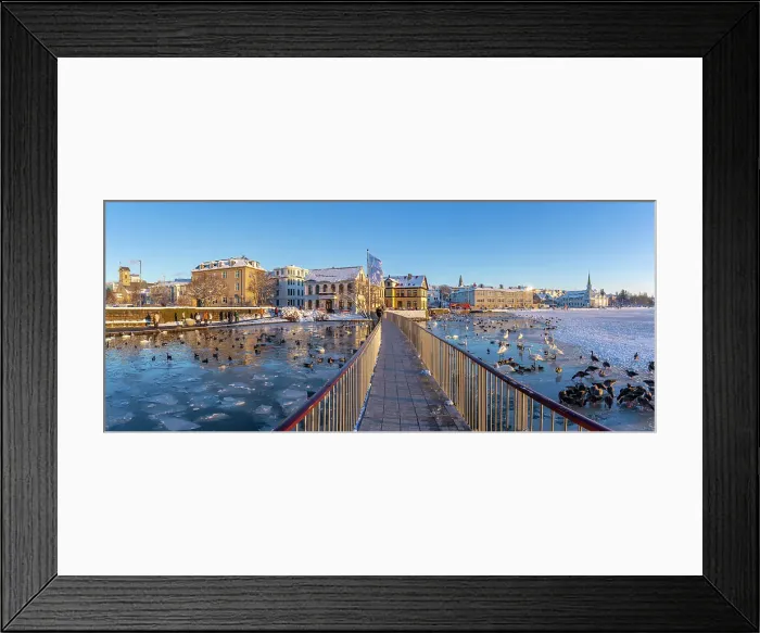 Framed Print : View of swans and ducks with colourful buildings and city skyline in background in the city centre of Reykjavik in winter, Reykjavik, Iceland Framed Print : View of swans and ducks with colourful buildings and city skyline in background in the city centre of Reykjavik in winter, Reykjavik, Iceland