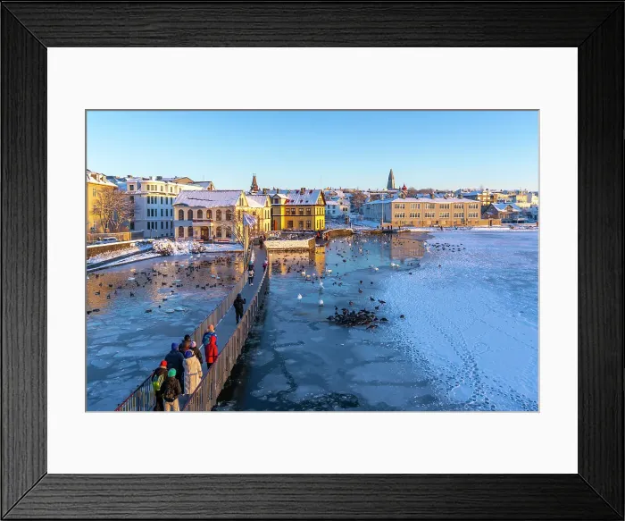 Framed Print : View of swans and ducks with colourful buildings and city skyline in background in the city centre of Reykjavik in winter, Reykjavik, Iceland Framed Print : View of swans and ducks with colourful buildings and city skyline in background in the city centre of Reykjavik in winter, Reykjavik, Iceland