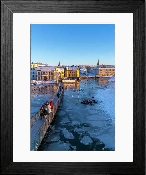 Framed Print : View of swans and ducks with colourful buildings and city skyline in background in the city centre of Reykjavik in winter, Reykjavik, Iceland Framed Print : View of swans and ducks with colourful buildings and city skyline in background in the city centre of Reykjavik in winter, Reykjavik, Iceland