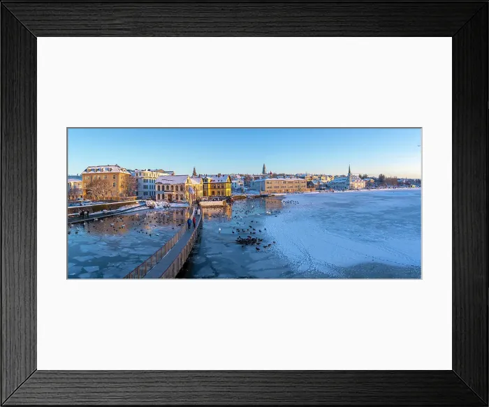 Framed Print : View of swans and ducks with colourful buildings and city skyline in background in the city centre of Reykjavik in winter, Reykjavik, Iceland Framed Print : View of swans and ducks with colourful buildings and city skyline in background in the city centre of Reykjavik in winter, Reykjavik, Iceland