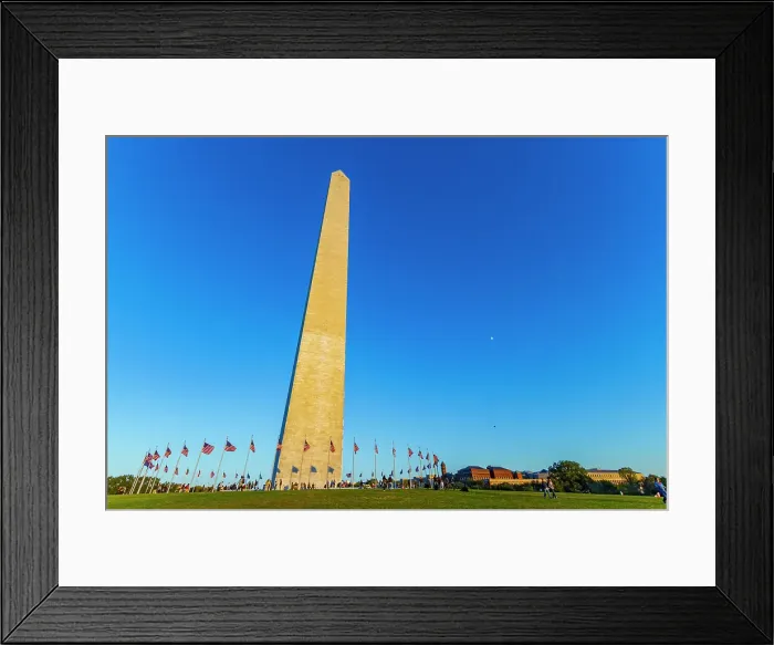 Framed Print : American flags surrounding the Washington Monument in Washington, D.C. United States of America Framed Print : American flags surrounding the Washington Monument in Washington, D.C. United States of America