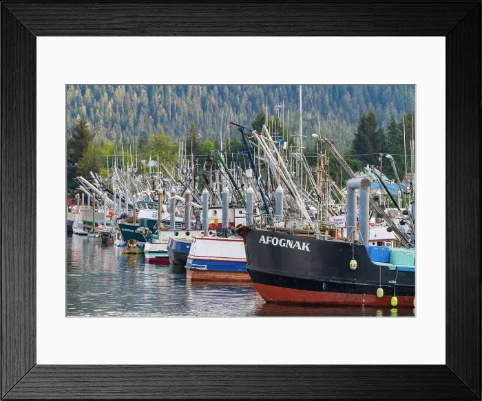 Framed Print : View of the Fishing town of Petersburg, Southeast Alaska, United States of America Framed Print : View of the Fishing town of Petersburg, Southeast Alaska, United States of America