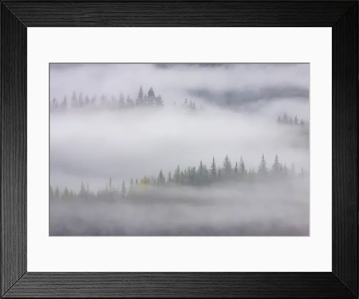 Framed Print : Mendenhall Glacier just outside Juneau, Southeast Alaska, United States of America Framed Print : Mendenhall Glacier just outside Juneau, Southeast Alaska, United States of America
