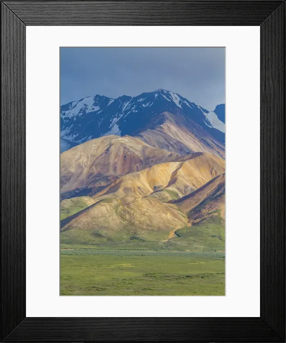 Framed Print : View of the Polychrome Mountains from lookout point on the park road inside Denali National Park and Preserve, Alaska, United States of America