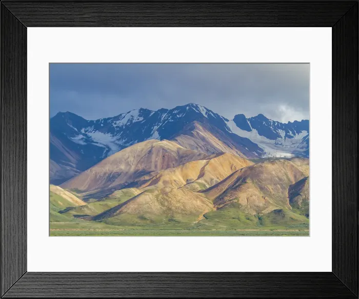 Framed Print : View of the Polychrome Mountains from lookout point on the park road inside Denali National Park and Preserve, Alaska, United States of America Framed Print : View of the Polychrome Mountains from lookout point on the park road inside Denali National Park and Preserve, Alaska, United States of America