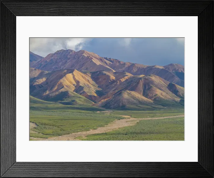 Framed Print : View of the Polychrome Mountains from lookout point on the park road inside Denali National Park and Preserve, Alaska, United States of America Framed Print : View of the Polychrome Mountains from lookout point on the park road inside Denali National Park and Preserve, Alaska, United States of America