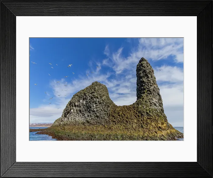 Framed Print : A view of sea cliffs and stacks in the Langanes peninsula in the northeast part of Iceland Framed Print : A view of sea cliffs and stacks in the Langanes peninsula in the northeast part of Iceland
