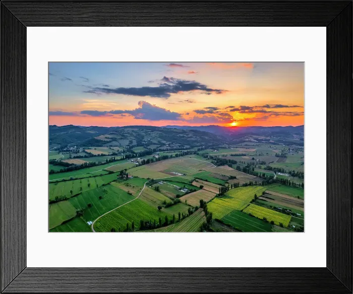 Framed Print : Sunflower fields at sunset, Gubbio, Umbria, Italy Framed Print : Sunflower fields at sunset, Gubbio, Umbria, Italy